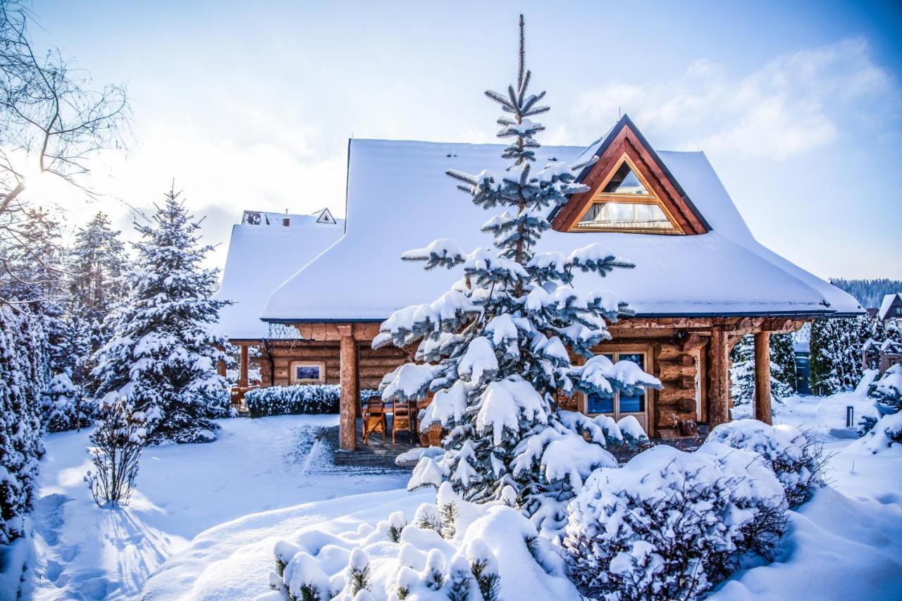 Chalet Wioska Jagny 波罗宁 外观 照片